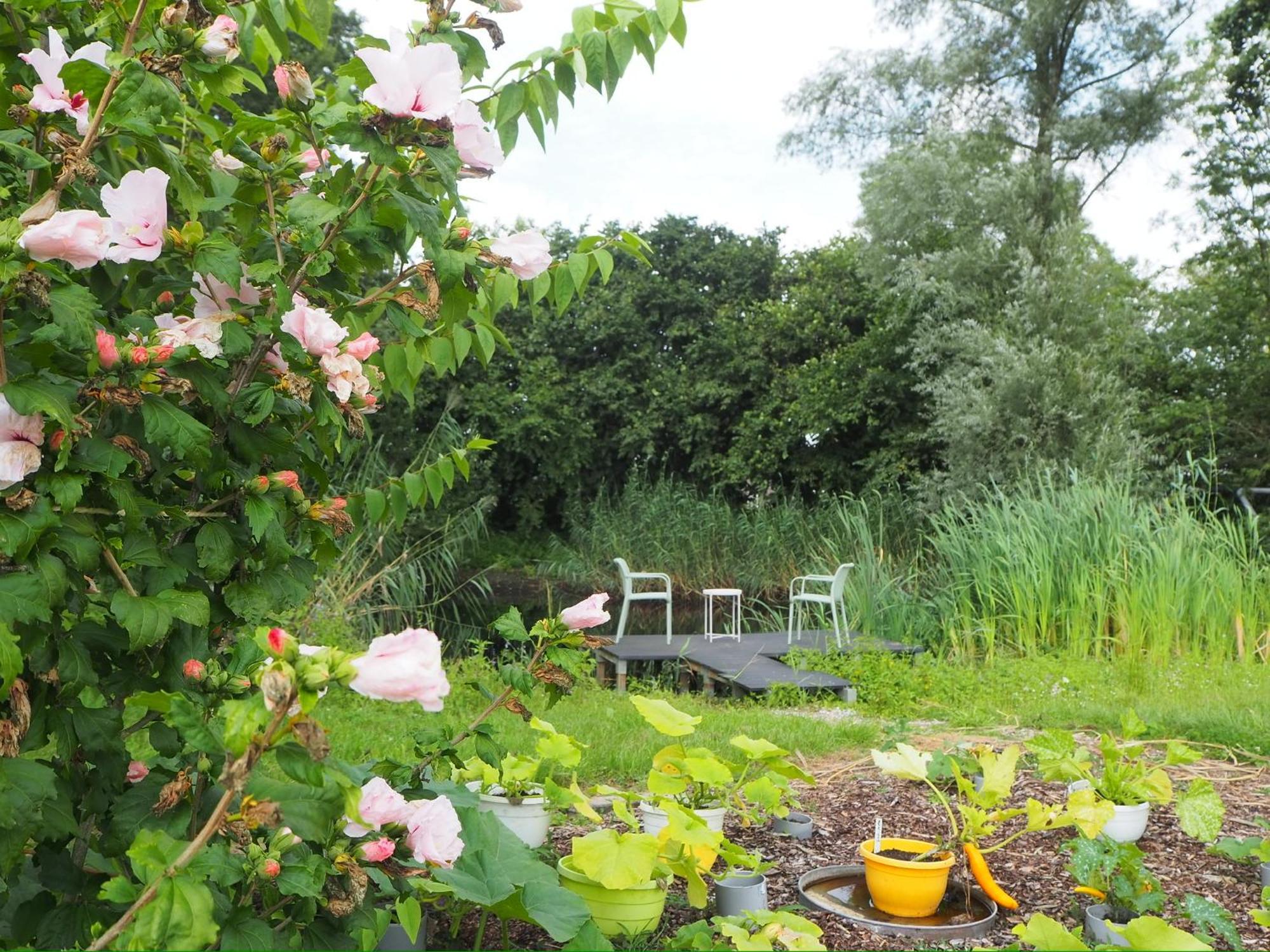 Bnb De Peelvos Deurne Exteriér fotografie