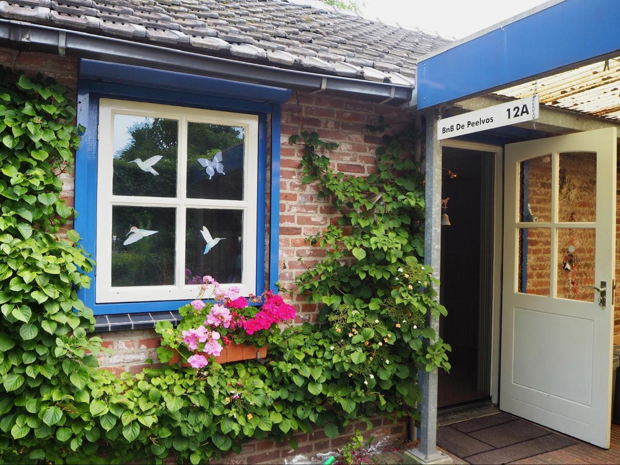 Bnb De Peelvos Deurne Exteriér fotografie